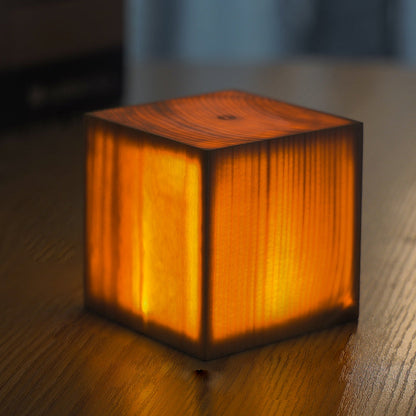 LumiÉclat Touch Control LED Table Lamp - Cordless Battery Operated Design-4