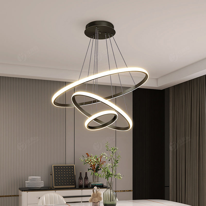 LumiAura - Modern Adjustable Ring Ceiling Light