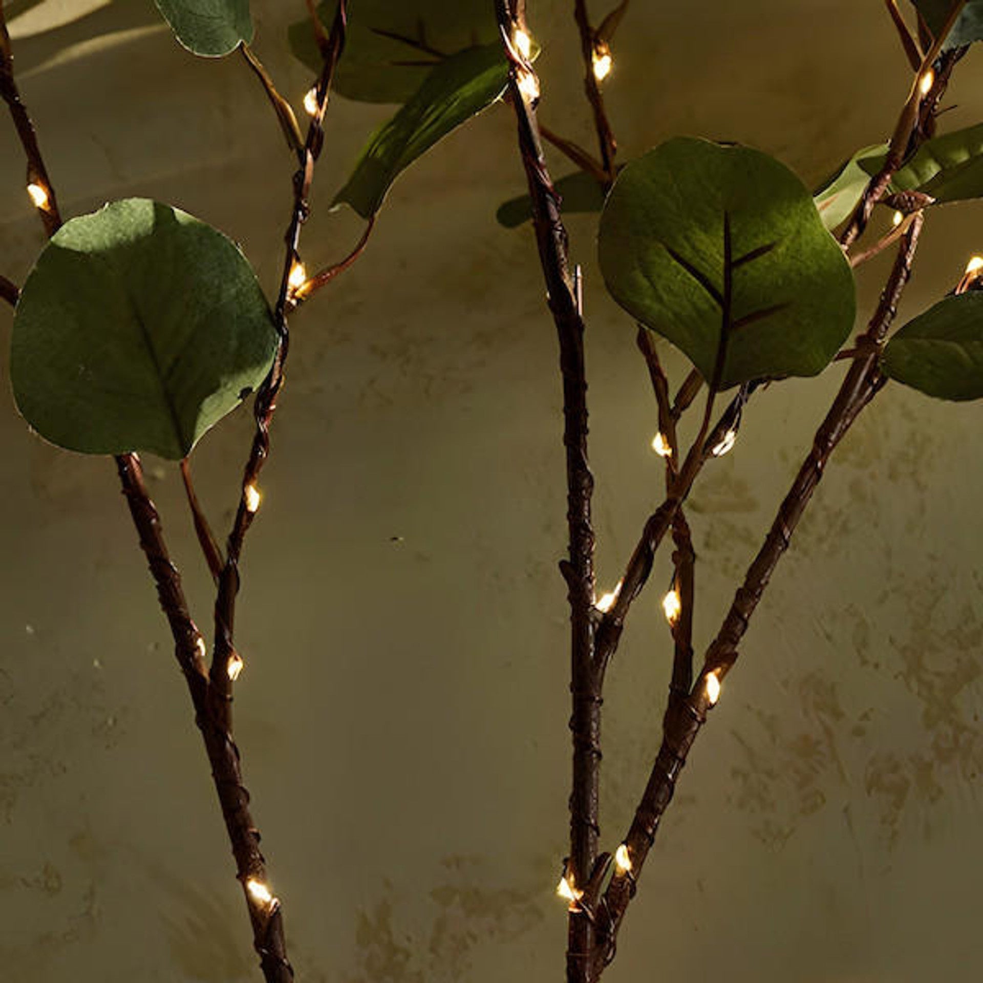 Enchanted Olive Branch Fairy Lights - 120 LEDs Battery Operated Twinkle Lights for Cozy Home Decor-4
