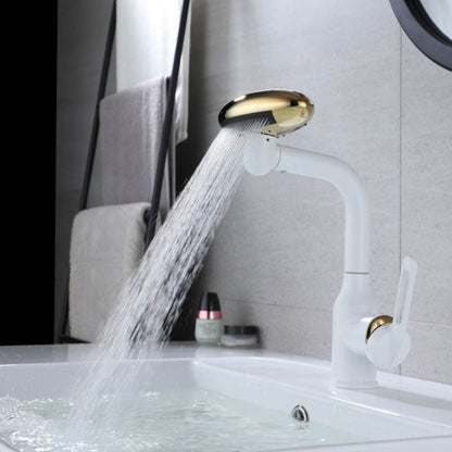 FlowMate - Multi-Function Rotating Faucet Spray Head